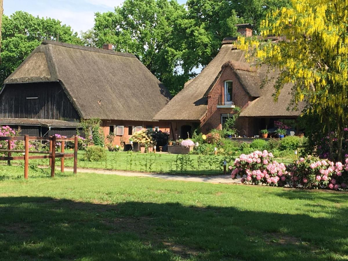 Huck'S Ferienhaeuser Borstel  Exteriér fotografie