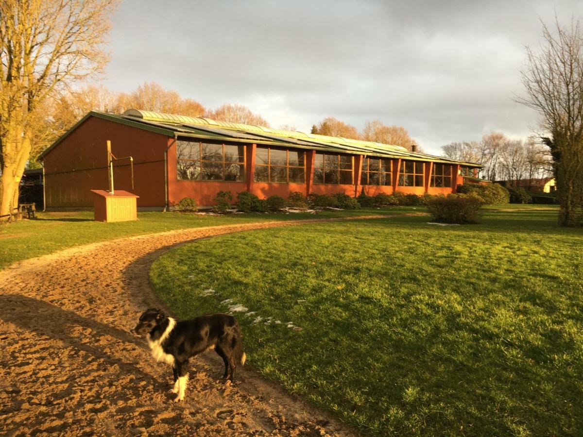 Huck'S Ferienhaeuser Borstel  Exteriér fotografie